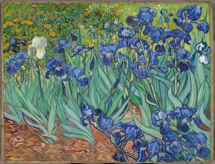Irises, Vincent van Gogh