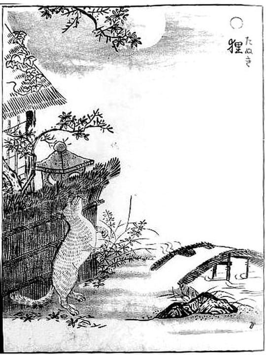 Tanuki